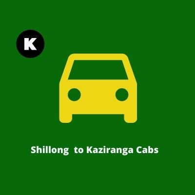 Shillong to Kaziranga Cabs