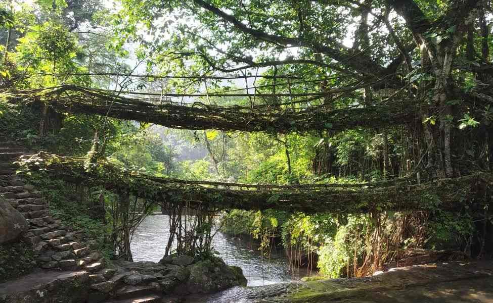 Double Decker Root Bridge Trek with David Scott Trail