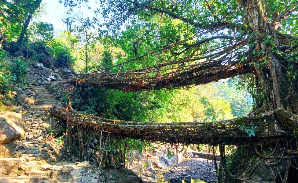 4 Days Adventure Trip to Meghalaya