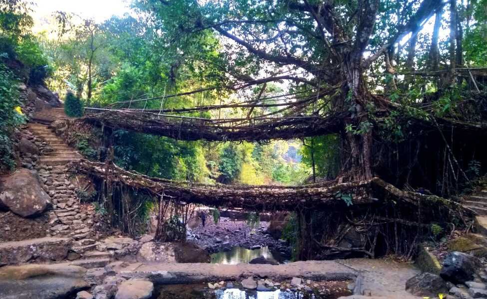 6 Days Captivating Meghalaya Tour