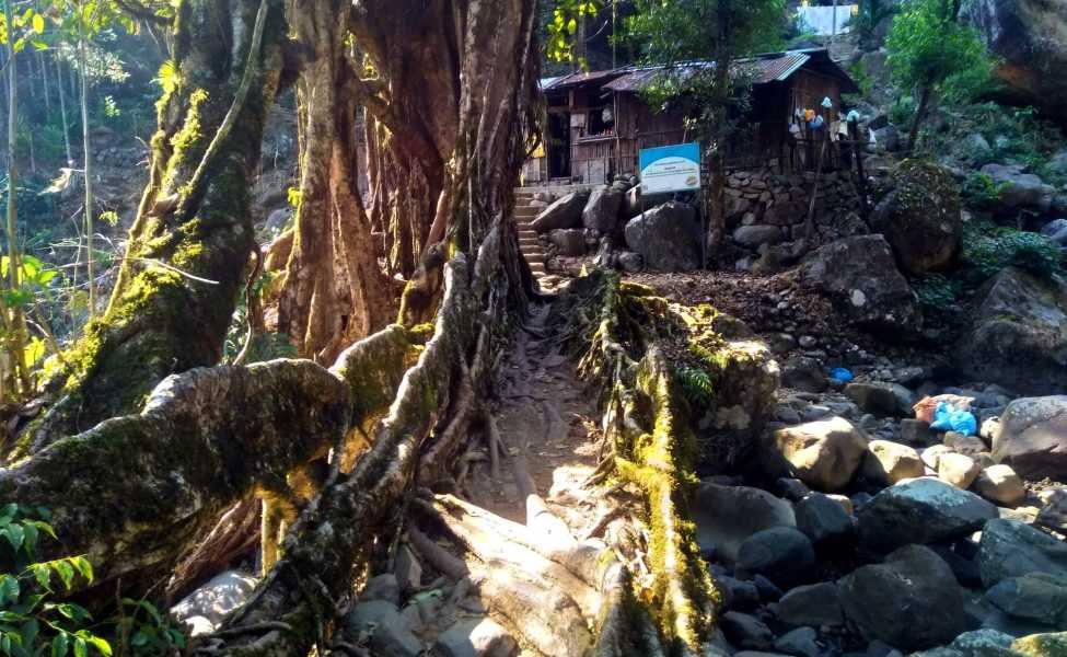 Meghalaya Adventure Honeymoon Tour