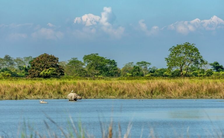 Kaziranga Weekend Tour Package