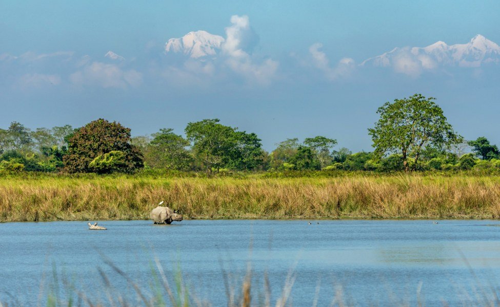 Splendid Guwahati Shillong Cherrapunji Tour