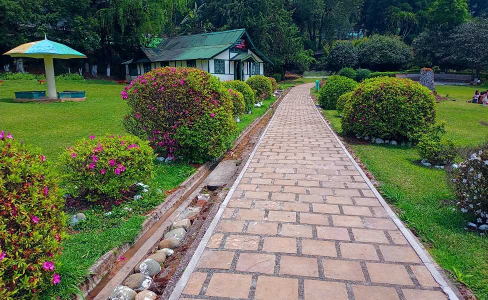 Awesome Shillong Honeymoon Tour