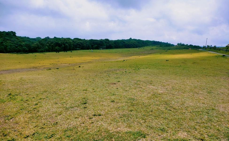 Amazing Shillong Tour with Mawphlang Village