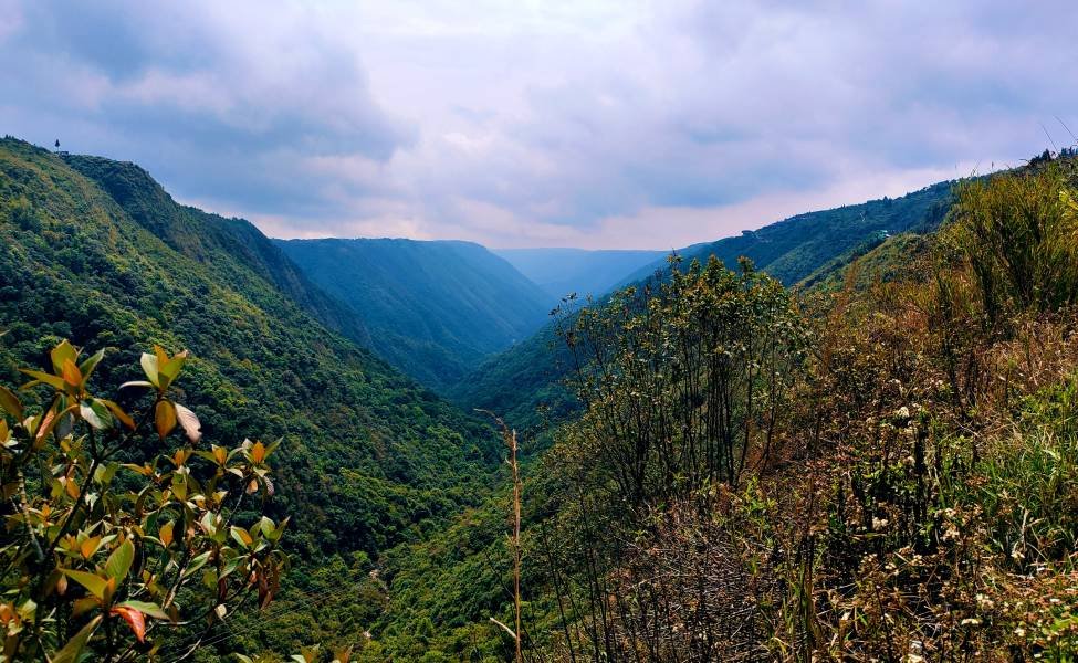 Romantic Shillong Honeymoon Tour