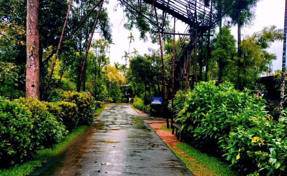 Splendid 4 Days 3 Nights Assam Meghalaya Tour