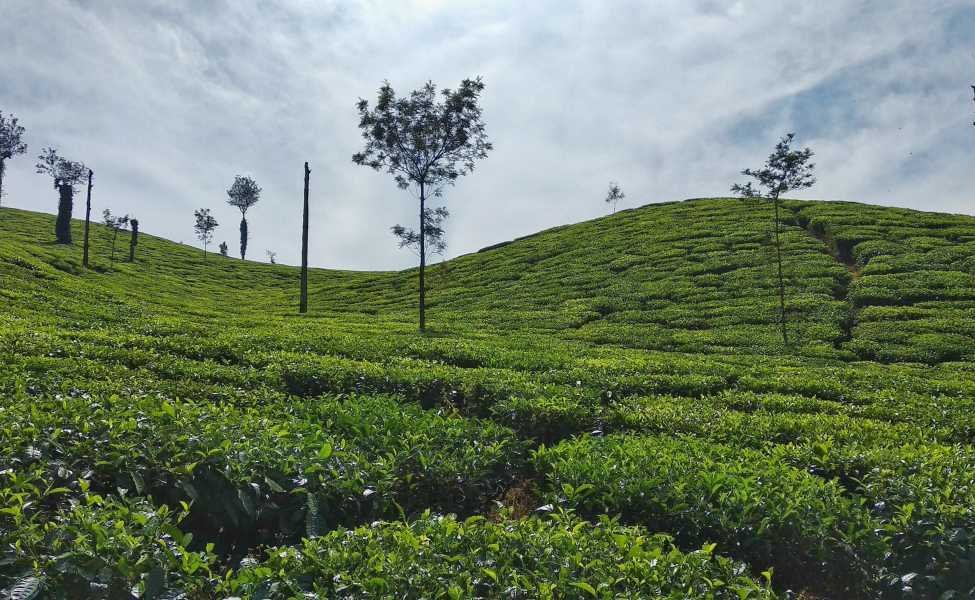 Guwahati Tour Packages
